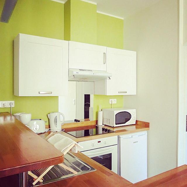 Barla 3 - A Spacious One Bedroom Near Place Garibaldi Apartment Nizza
