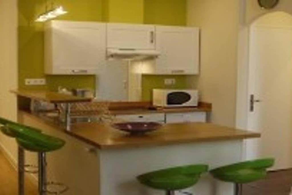 Apartment Barla 3 - A Spacious One Bedroom Near Place Garibaldi Nice
