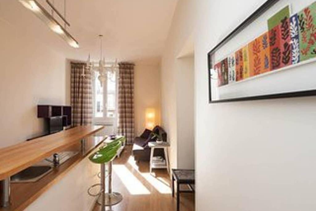 Barla 3 - A Spacious One Bedroom Near Place Garibaldi Nizza
